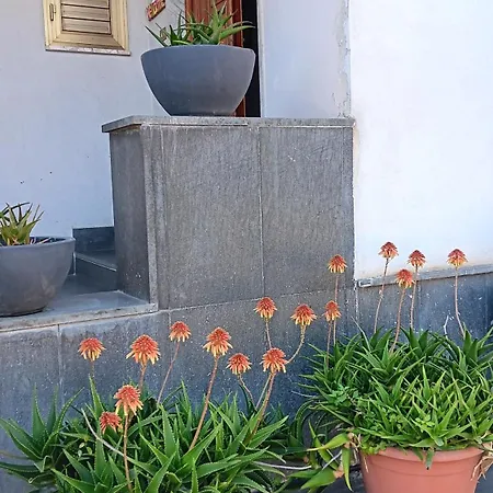 Casa Dell'aloe منزل للإقامة